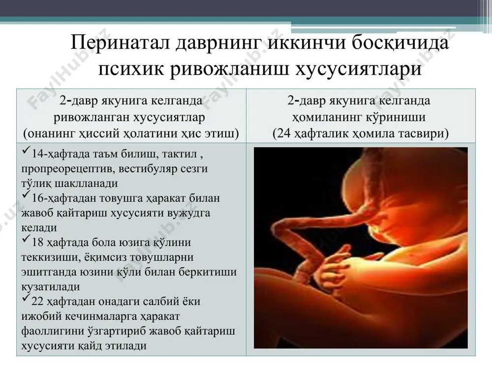 perinatal va chaqaloqlik davrlarida psixofiziologik xususiyatlar - Page 4