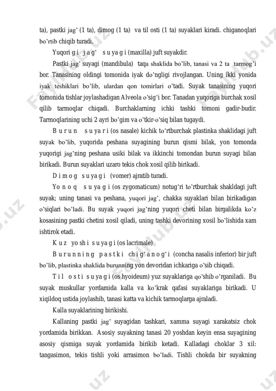 tki jag’ suyagi (mandibula) taqa shaklida bo’lib, tanasi va 2 ta tarmog’i bor. tanasining oldingi tomonida iyak do’ngligi rivojlangan. uning ikki yonida iyak teshiklari bo’lib, ulardan qon tomirlari o’tadi. suyak tanasining yuqori tomonida tishlar joylashadigan alveola o’sig’i bor. tanadan yuqoriga burchak xosil qilib tarmoqlar chiqadi. burchaklarning ichki tashki tomoni gadir-budir. tarmoqlarining uchi 2 ayri bo’gim va o’tkir-o’siq bilan tugaydi. b u r u n s u ya r i (os nasale) kichik to’rtburchak plastinka shaklidagi juft suyak bo’lib, yuqorida peshana suyagining burun qismi bilak, yon tomonda yuqorigi jag’ning peshana usiki bilak va ikkinchi tomondan burun suyagi bilan birikadi. burun suyaklari uzaro tekis chok xosil qilib birikadi. d i m o g s u ya g i (vomer) ajratib turadi. yo n o q s u ya g i (os zygomaticum) notug’ri to’rtburchak shakldagi juft suyak; uning tanasi va peshana, yuqori jag’, chakka suyaklari bilan birikadigan o’siqlari bo’ladi. bu suyak yuqori …