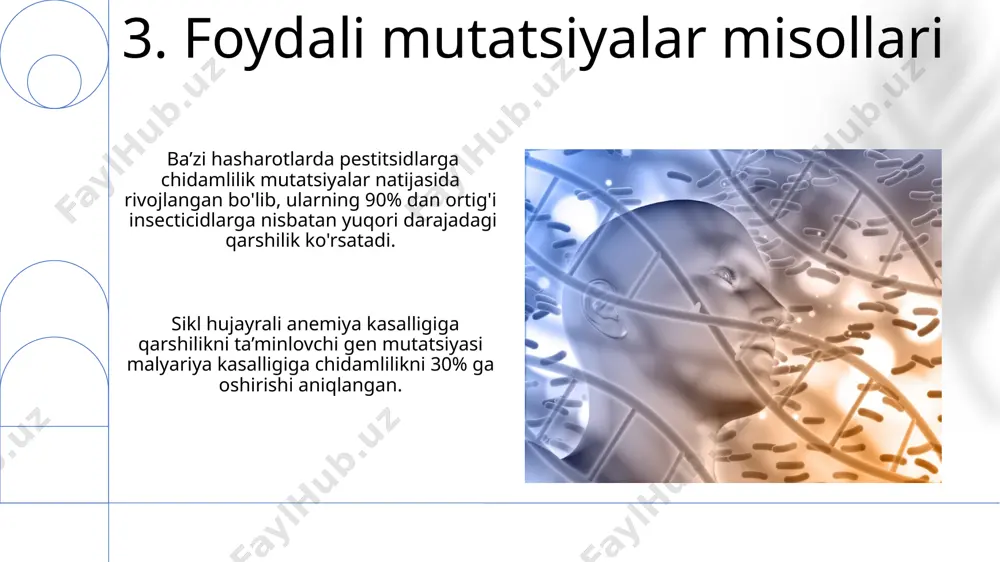 mutatsiya zararlimi? - Page 5