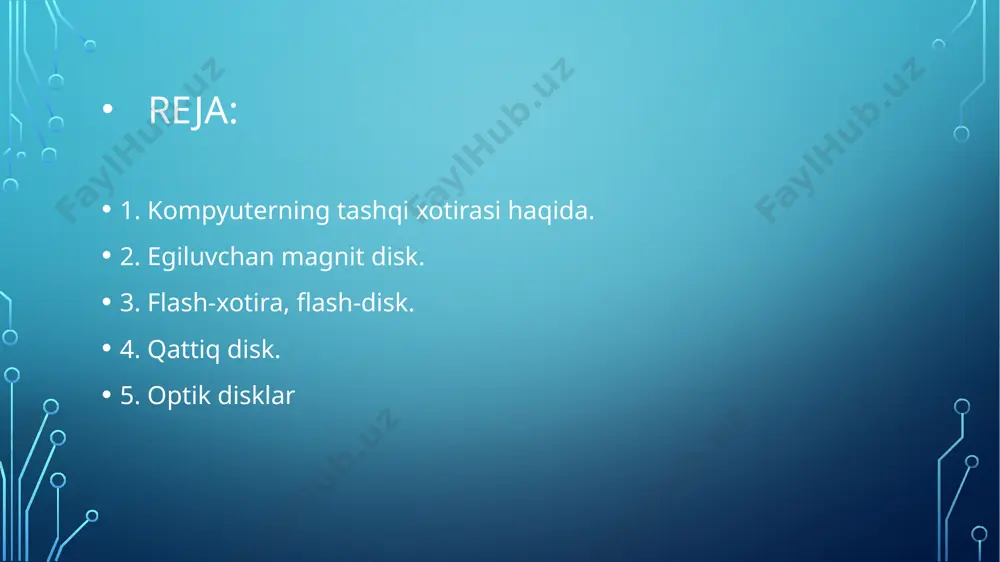 egiluvchan magnit disk - Page 2