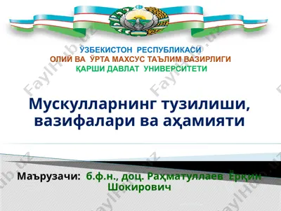 мускулларнинг тузилиши, вазифалари ва аҳамияти — PPTX
