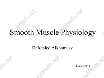 smooth muscle physiology — PPT