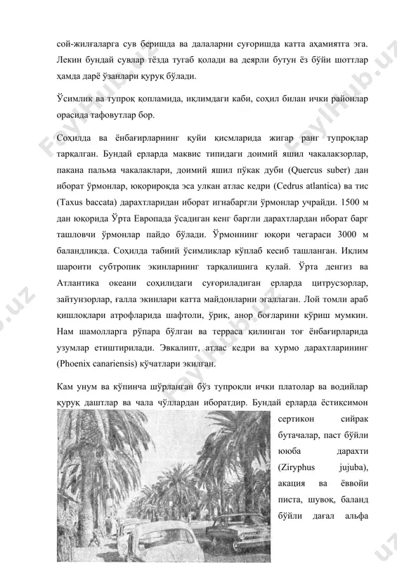 и чорвачилик билан шуғулланади ва ярим кўчманчи ҳаёт кечиради. тоғлар орасидаги қуруқ яйловларда сийрак ўтлар билан кун кўрадиган туялар ва қўйлар бо-қилади. тоғларда 3000 м дан юқорида унда-бунда альп ўтлоқлари учрайди. бу ўтлоқлар ўз таркибига кўра европадаги тоғ ўтлоқ- ларидан анча кейинда туради. энг баланд тизмаларнинг чўққилари ўсимликсиз бўлиб, йилнинг кўп қисмида қор билан қопланиб ётади. тоғларнинг жанубий этакларида чинакам чўл учрайди. бундай ерларда хурмо (phoenix dactylifera) етиштириладиган воҳалар учраб қолади. 135. касабланкадаги хурмозорлар (а. н. грацианский фотоси). атлас ўлкасининг ҳайвонот дунёсида африка ва жанубни европа турлари учрайди. ҳайвонот таркибида кемирувчилар (қуёнлар, қўшоёқлар) жуда кўп. кемирувчилар билан туёқлилар орасидаги ўтхўр ҳайвондаман учрайди. катталиги қуёнча келадиган қўпол бу ҳайвон тоғларда галагала бўлиб яшаиди, унинг гўштини ейишади. йиртқичлардан чиябўрилар, виверралар, ёввойи мушуклар ва сиртлонлар ҳамма жойда учрайди. илгарилари жанубдан бу ерга арслонлар кириб келарди. қояларда испаниянинг жанубида ҳам-учрайдиган думсиз макак маймуни яшайди. қалтакесаклар, илонлар, турли ҳашаротлар кўп. қишлоқ хўжалиги баъзи йиллари чигирткадан …