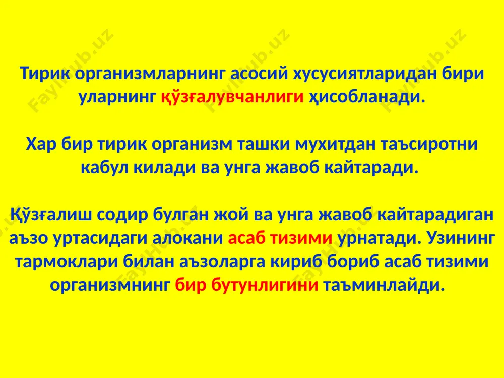 ьной нервной системы. 2.узловая нервная система (высшие черви) образуется в результате того, что нервные клетки сближаются в отдельные скопления или группы, из них образуются нервные узлы – центры, а из скоплений отростков – нервные стволы – нервы. соответственно сегментарному строению тела животного, например у кольчатых червей, в каждом сегменте имеются сегментарные нервные узлы и стволы. 3.трубчатая нервная система (хордовые – ланцетник) возникла в виде метамерно построенной нервной трубки с отходящими от неё сегментарными нервами ко всем сегментам тела, включая и аппарат движения – туловищный мозг. у позвоночных и человека туловищный мозг становится спинным. дальнейшее развитие нервной системы и возникновение головного мозга обусловлены преимущественно усовершенствованием рецепторного возбуждения. у всех черепных животных головной мозг на раннем этапе развития состоит из трех первичных нервных пузырей: 1)ромбовидного (заднего) - rhombencephalon, который ближе к спинному мозгу; 2) среднего - mesencephalon; 3) переднего - prosencephalon. бош миянинг тузилиши бош мия 5 булимдан ташкил топади при переходе …