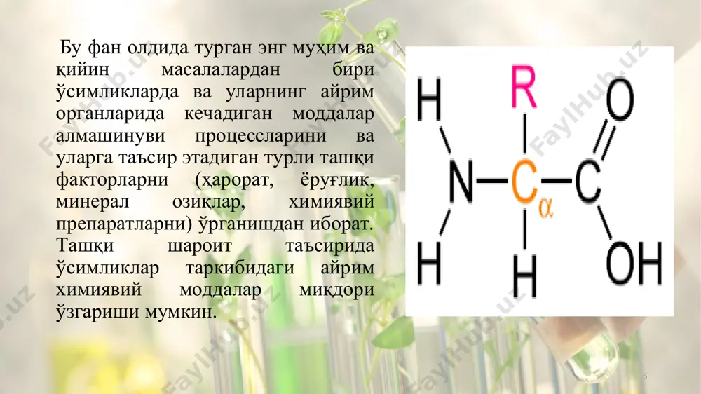 . уларнинг кўпчилиги ферментлардан иборат. ўсимликлар таркибидаги запас оқсиллар ҳам глобуляр оқсилларга киради. * оқсил молекулалари таркибида эркин карбоксил ва амин гуруҳлар бўлганлиги учун улар ҳам аминокислоталар сингари амфотерлик хоссага эга бўлиб, ҳам асос, ҳам кислота сифатида диссоциланади. сувли эритмаларда оқсил молекулалари биполяр ионлар (амифонлар) шаклида бўлади. кислотали гуруҳларнинг диссоцила-ниши натижасида эритмага н+ ионлари ажралиб чиқади. * оқсил эритмасига суюлтирилган кислота қўшилса, таркибидаги кислотали гуруҳларининг диссоциланиши камаяди. демак, кислотали муҳитда оқсил молекулалари мусбат зарядга эга бўлади ва электр майдонида катодга томон ҳаракат қилади. оқсил эритмасига ишқор қўшилганда эса унинг таркибидаги асосли гуруҳларнинг диссоциланиши камаяди, бинобарин, ишқорий муҳитда оқсиллар ортиқча манфий зарядга эга бўлади ва электр майдонида анодга томон ҳаракат қилади. * муҳит рн ни ўзгартириш билан оқсил молекуласининг зарядини ҳам ўзгартириш мумкин экан. бироқ, маълум рн да оқсил молекуласи таркибидаги мусбат ва манфий зарядлар сони бир-бирига тенг бўлади. натижада оқсил молекуласининг умумий заряди нолга тенг бўлиб, бундай молекулалар электр майдонида …