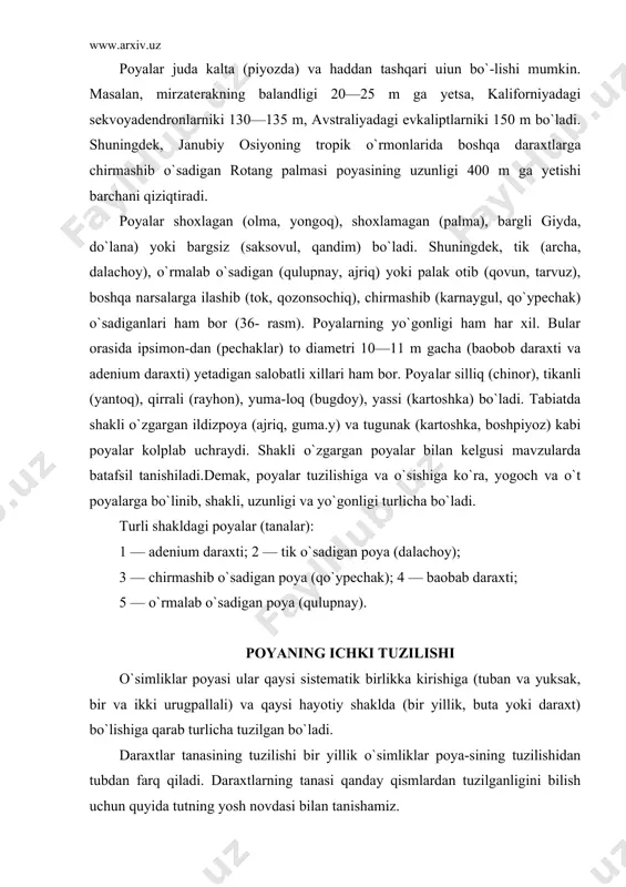 jayralardan hosil bo`lgan po`st parenximasi (asosiy to`qima) joylashgan. po`st ostida lub qavati —floema (oq po`st), undan ichka-rida kambiy, kambiydan keyin esa yogochlik qism (ksilema), uning o`rtasida o`zak joylashgan. yozda tut novdasi po`stining pa-renximasida qo`ngir rangli pishiq hujayralar hosil bo`ladi. po`stda ti-niq, cho`ziq, mayda bo`rtmacha-lar bo`lib, ular yasmiqchalar de-yiladi. o`simliklar ana shu yas​miqchalar orqali nafas oladi. po`st parenximasi asta-sekin po`kaklasha boradi va po`stloq hosil qiladi. po`kak qalin jashgan sari po`stloqdagi tirik hujayralar ka-maya boradi. shuning uchun ham eski shoxlar po`stlogida tirik hu​jayralar bo`lmaydi. tanada va eski shoxlarda po`stloq qavati qalin bo`ladi. qalin po`stloq ichkaridagi tirik hujayralarni qishki sovuqdan, yozgi issiqdan va turli zararli moddalar ta`siridan himoya qiladi. tut novdasining po`stlog`i egiluvchan va pishiq bo`ladi. uning pishiqligi lub tolalariga bogliq. bu tolalar hamma o`simliklarda ham bir xil bo`lmaydi. tut daraxtida lub tola​lari juda ko`p. shuning uchun uning shoxlari va yon novdalari pishiq hamda egiluvchan bo`ladi. lub tolalari kanop, zig`ir poyasida yaxshi rivojlangan …