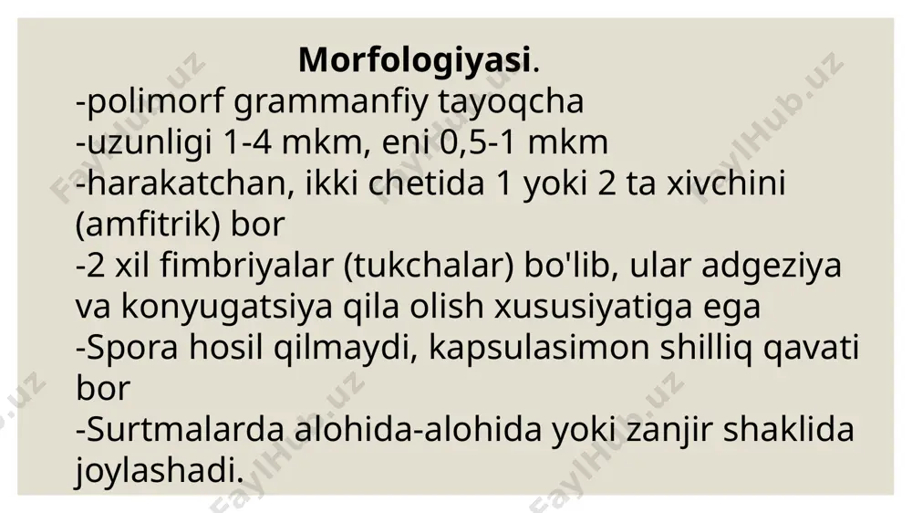 in, pioimmunogen (kuyganda), immun plazma, immunoglobulin va boshqa preparatlar ham yuboriladi. ko'k yiring bakteriofagidan foydalanish ham yaxshi natija beradi. -maxsus profilaktika uchun ko’k yiring tayoqchasi, protey, stafilokokk antigenlaridan tayyorlangan vaksina ishlab chiqilgan. bemor kuygan bo'lsa, yaraga pioimmunogen yuboriladi. e'tiboringiz uchun rahmat image2.jpg image3.jpeg image4.jpeg image5.jpeg image6.jpeg image7.jpeg image8.jpeg /docprops/thumbnail.jpeg