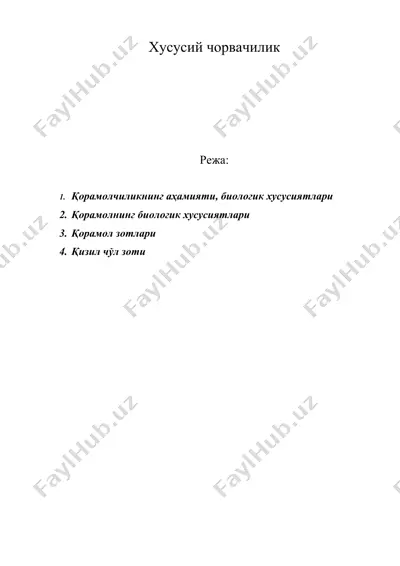 хусусий чорвачилик — DOC