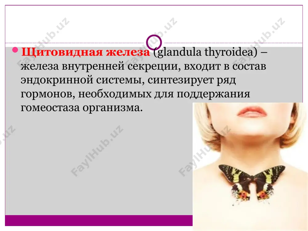 — наиболее частая причина гипертиреоза зоб узловой токсический (болезнь пламмера) обычно у более пожилых лиц искусственный гипертиреоз может быть следствием бесконтрольного приёма тиреоидных гормонов тиреоидные гормоны увеличивают потребление кислорода тканями, повышая образование тепла и энергетический обмен повышается чувствительность тканей к катехоламинам и симпатической стимуляции патогенез диффузный токсический зоб (базедова болезнь) — аутоиммунное заболевание, обусловленное избыточной секрецией тиреоидных гормонов диффузной тканью щитовидной железы, которое приводит к отравлению этими гормонами — тиреотоксикозу. гипертиреоидизм зоб экзофтальм увеличение органа больше допустимых значений (нормальный объем железы у мужчин - 9-25 мл, у женщин - 9-18 мл). гипотиреоз лечение оперативное вмешательство (резекция, тиреоидэктомия). применение монопрепаратов гормонов щитовидной железы, в том числе такие медикаментозные средства как трийодтиронин, тироксин, а также их комбинации и комплексы с неорганическим йодом (йодтирокс, тиреотом, тиреокомб). спасибо за внимание!