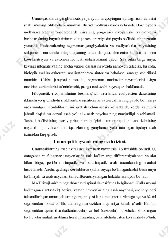 va parasimpatik asab tutamlarining manbai hisoblanadi. ancha qadimgi xordalilarda (kalla suyagi bo’lmaganlarda) bosh miya bo’lmaydi va asab naychasi kam differentsiyalangan holatda namoyon bo’ladi. mat rivojlanishining ushbu davri spinal davr sifatida belgilanadi. kalla suyagi bo’lmagan (lantsetnik) hozirgi zamon hayvonlarining asab naychasi, ancha yuqori takomillashgan umurtqalilarning orqa miyasi kabi, metamer tuzilmaga ega va 62-64 segmentdan iborat bo’lib, ularning markazidan orqa miya kanali o’tadi. har bir segmentdan qorin (harakatlantiruvchi) va bel (sezuvchi) ildizchalar shoxlangan bo’lib, ular aralash asablarni hosil qilmasdan, balki alohida ustun ko’rinishida o’tadi. asab naychasining bosh va dum qismlarida rode gigant hujayralari lokallashgan bo’lib, ularning yo’g’on aksonlari o’tkazuvchi apparatni hosil qiladi. evolyutsiyaning keyingi davrida, integratsiyaning ayrim funktsiyalari va tizimlarini orqa miyadan bosh miyaga o’tishi, ya’ni entsefalizatsiya jarayoni kuzatilgan bo’lib, u umurtqasiz hayvonlar misolida ko’rilgan. kalla suyagi bo’lmaganlar darajasidan, to yumaloq og’izlilar darajasigacha bo’lgan filogenetik rivojlanish davrida, distant retseptsiya tizimlari ustidagi qurilma sifatida bosh miya shakllanadi. hozirgi zamon yumaloq og’izlilarining mat ni …