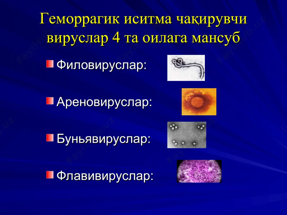 қрим-конго геморрагик иситмаси - Page 3