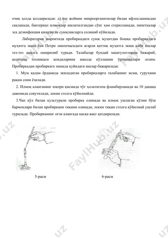 ан тиқин фламбирланади, пробирка ёпилади ва штативга қўйилади. 10. илмоқ чўғ ҳолатигача қиздирилади. пробикадан петри ликопчасига экишда қўйидаги ишлар амалга оширилади: 1. петри ликопчасининг устига мум қалам ёрдамида талабанинг исми, гуруҳининг рақам сони, сана ёзилади. 2. юқорида айтилгандай, пробиркадан илмок билан культура солинади. 3. бўш қўл билан петри ликопчасининг қопқоғи очилади, лекин столга қўйилмайди ва ликопча устида ушлаб турилади. 4. петри ликопчасидаги озиқли муҳитга илмоқдаги культура "штрих" усулида экилади. бунда агарни ўймасдан эхтиёт қилиб экиш лозим. 10-расм 5. петри ликопчаси ёпилади. 6. илмоқ фламбирланади ва жойига қўйилади.экмалар 28 градус0с да кейинги дарсгача ўстирилади. 1). ёруғлик ва электрон микроскоплпрнинг бактериаларнинг тадқиқ қилишдаги роли. 2). прокариотларнинг микроскоп остида кузатиш: а) фиксирланган, буялган препорат таёрлаш. б) эзилган томчи усулида бактерия препаратларни таёрлаш. в) бактериаларни бойитилган ва соф култураларини таёрлаш. г) стерилизация усуллари. 2) мбр-и микроскопининг тузилиши микроскопнинг механик ва оптик қисмлардан тузилган. механик қисмига: буюм столчаси ва тубус маҳкамланаган штатив (тутқич) киради (1-расм). …