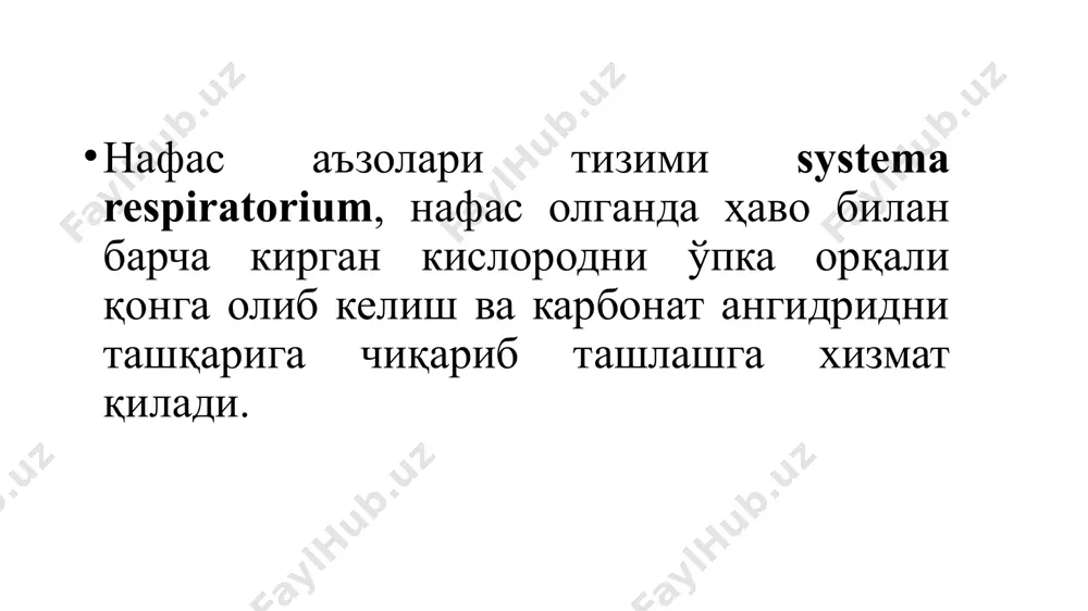 орида айтилган мосламалар ўрта ва пастки чиғаноқлар тенгликларида жойлашиб, ҳавони механик қайта ишлашга хизмат қилади. шунинг учун бу соҳа нафас олиш соҳаси, regio respiratoria дейилади. бурун бўшлиғининг юқори чиғаноғи ва юқори бурун йўллари соҳаси эса ҳид билишга мослашган. бу соҳадан бош мия нервларининг i жуфти, ҳидлов нерви n.olfactorius бошланади ва ҳавонинг таркибини доимо назорат қилади. шунинг учун бу соҳа, regio olfactoria, ҳид билиш соҳаси деб аталади. ташқи бурун тоғайлари бурун тоғайлари бурун бўшлиғи бурун бўшлиғидаги ҳаво вентиляцияси (айланишига) га қўшимча тузилмалар, бурун атрофидаги параназал бўшлиқлар, sinus paranasales бўлиб, улар ҳам шиллиқ парда билан қопланган. булар қуйидагилардир: 1) юқори жағ бўшлиғи, sinus maxillaris; 2) пешона суяги бўшлиғи, sinus frontalis; 3) ғалвирсимон суяк катакчалари сellulаe ethmoidales, умумий равишда sinus ethmoidalis; 4) понасимон суяк бўшлиғи sinus sphenoidalis. тирик одам бурун бўшлиғини кўздан кечирганимизда (риноскопия) бурун бўшлиғи шиллиқ пардаси пушти рангда кўринади. бурун бўшлиғи чиғаноқлари бурун йўллари, ғалвирсимон суяк катакчалари ва пешона, юқори жағ …
