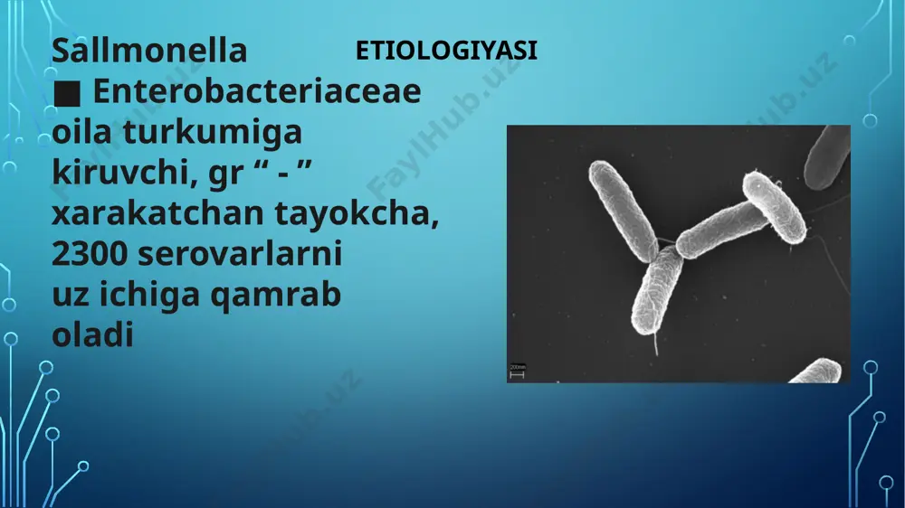 salmonellosis kasalligi - Page 4