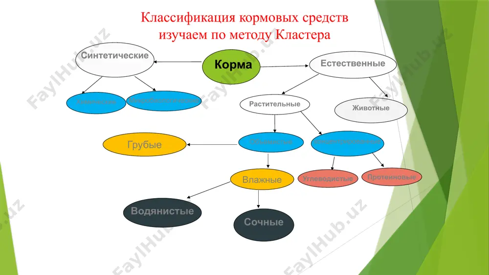 kormlenie selskokhozyaystvennykh zhivotnykh - Page 4