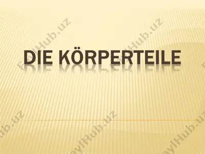 die haare — PPT
