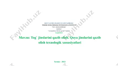 tog' jinslarini qazib olish — PPTX