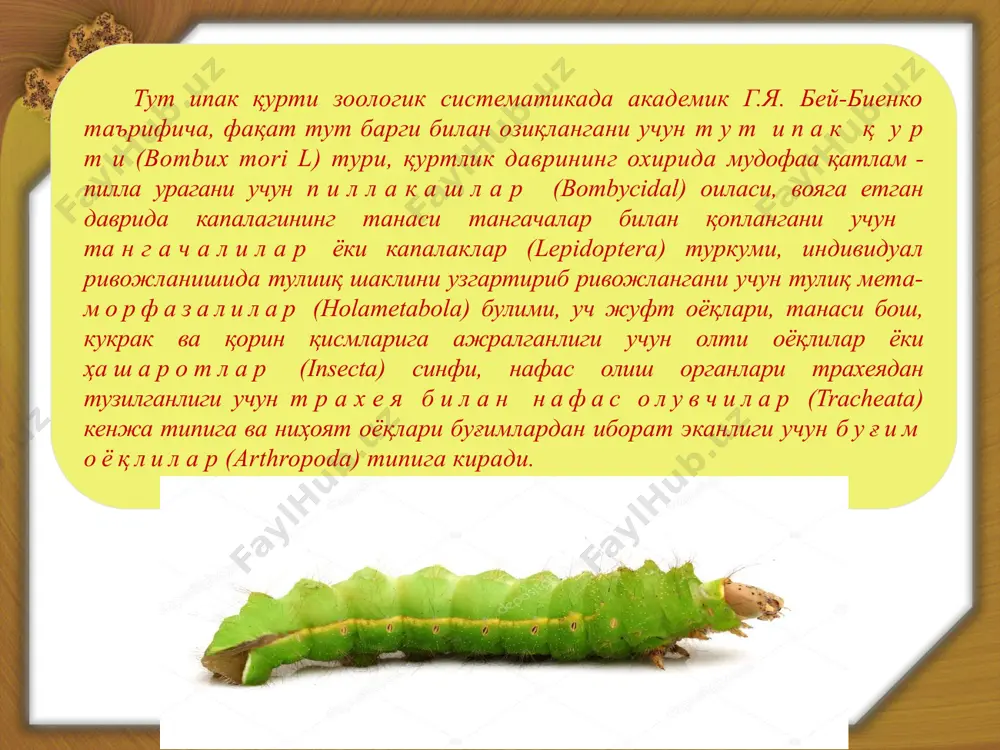 тут ипак қурти - Page 4