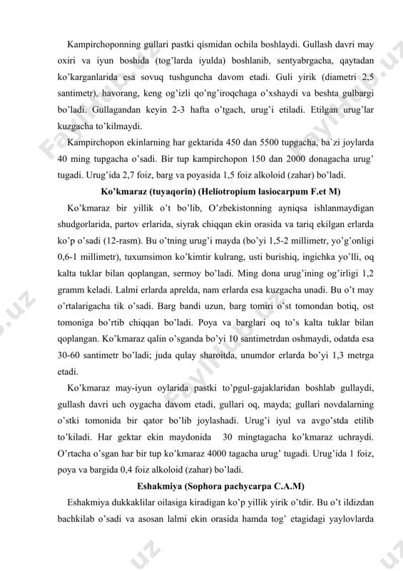 b joylashadi. urug’i iyul va avgo’stda etilib to’kiladi. har gektar ekin maydonida 30 mingtagacha ko’kmaraz uchraydi. o’rtacha o’sgan har bir tup ko’kmaraz 4000 tagacha urug’ tugadi. urug’ida 1 foiz, poya va bargida 0,4 foiz alkoloid (zahar) bo’ladi. eshakmiya (sophora pachycarpa c.a.m) eshakmiya dukkaklilar oilasiga kiradigan ko’p yillik yirik o’tdir. bu o’t ildizdan bachkilab o’sadi va asosan lalmi ekin orasida hamda tog’ etagidagi yaylovlarda uchraydi. urug’i tuxum shaklida, yon tomonlari siqilgan, to’q jigarrang bo’ladi. murtak ildizchasi kertik ostidan 5-7 millimetr uzunligida va 3-6 millimetr kengligida chiqib turadi. urug’ining ming donasi 58 gramm keladi. urug’i tuproq nam bo’lgan paytda (aprelda va kechroq) unadi. urug’dan chiqqan qalin va uzunchoq barglar oval shaklida, ost tomoni tuk bilan qoplangan bo’ladi (13-rasm). birinchi yili poyasi 10 santimetrgacha o’sib, 5-10 barg yozadi, ildizining uzunligi esa bir metrga etadi. etilgan eshakmiya tik o’sgan, shoxlab ketgan va tuk bilan qoplangan bo’lib, bo’yi 40-60 santimetr keladi. barglari toq patsimon; 13 …