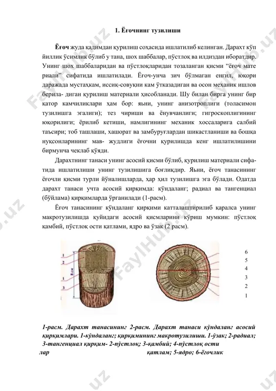 г танасига озиқ моддалар ўтиб туради. қамбий қатлами дарахт танасининг ёғочи билан пўстлоғи орасида жой- лашган йирик хужайралардан иборат бўлиб, у дарахтнинг ўсиши жараёнида муҳим аҳамиятга эга. ёғочнинг кўндаланг қирқимида йиллик ҳалқалар деб аталадиган узлуксиз жойлашган ўсиш қатламларини кўриш мумкин. ҳалқалар пўстлоқ томон оч ранг ва ўзакка яқин қисми эса тўқроқ рангда бўлади. пўстлоқ ости қатлам тирик ёш хужайрадир. ўсаётган дарахтда пўстлоқ ости қатлами бўйлаб минерал моддалар ҳаракатланади. ядро ўлик хужайралардан иборат бўлади ва физиологик жараёнларда иштирок этмайди аммо, дарахт танасининг мустаҳкамлигини таъминлайди. дарахт навлари ядро ва пўстлоқ ости қатлам мавжудлигига қараб, ядроли (қарағай, арча, тилоғоч) ва ядроси бўлмаган яъни, пўстлоқ ости қатламли (қайин, тоғтерак, қайрағоч) дарахтларга бўлинади. ўзак дарахт танасининг марказида жойлашади ва унинг (дарахтнинг) бутун узунлиги бўйлаб ўтади. ўзак дастлаб ҳосил бўлган бўш тўқималардан иборат бўлиб, осон чирийди. дарахт танасининг радиал ва тангенциал қирқимларида (масалан, қарағай, тилоғоч) йиллик ҳалқа қатламлар аниқ кўриниб туради. радиал йўналишдаги қирқимда улар тўғри …