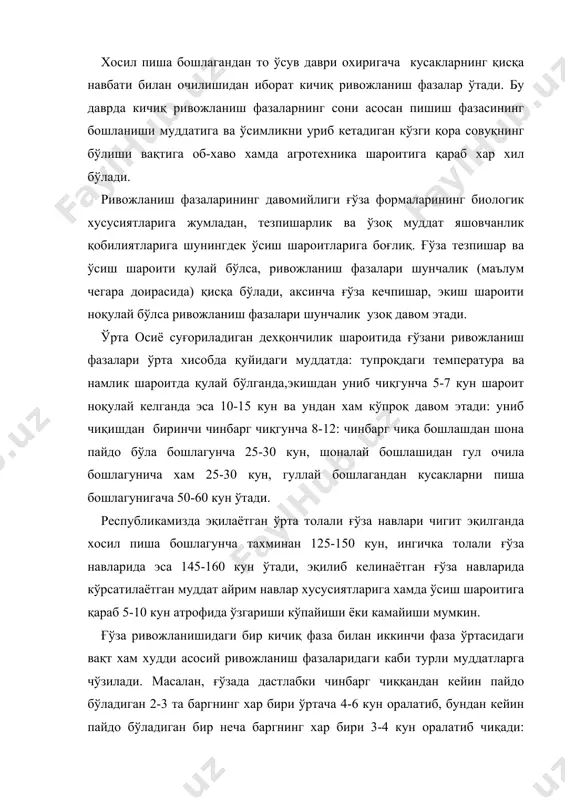 ан иккинчи барг пайдо бўлиши ўртасида ўтадиган вақт аста сёкин чўзила бошлайди. шоналаш даврида «шоналашдан гул очила бошлагунча» кичик ривожланиш фазалари навбатдаги хосил шохларининг пайдо бўла бошлаганидан кусакларнинг пиша бошлагунича 50-60 кун ўтади. гуллаш даврида (гуллашдан пиша бошлагунча) кичик ривожланиш фазалари қисқа навбат билан гуллашдан иборат бўлиб, бу ўрта хисобида хар 2-3 кун оралиғида ўтади. бир хосил шохи билан иккинчи хосил шохи пайдо бўлиши ўртасидаги вақт хам қисқа навбат билан гуллашнинг давомийлиги, бир барг билан навбатдаги барг пайдо бўлиши ўртасида ўтадиган вақт ўсув даврининг охирида аста сёкин кўпаяди. пишиш даврида ( кўсак очила бошлашидан ўсув давридан охиригача ) кичик ривожланиш фазалари кусакларни қисқа навбат билан очилишидан иборат бўлиб, у дастлабки вақтларда тахминан3-5 кун ўсув даври охирида ( асосан температура нисбий ва хаво намлиги ошганлигидан) 7 ва ундан кўпроқ кун оралатиб ўтади. ривожланиш фазалари ва уларнинг нормал ўтишини ривожланишнинг нормал боришини ўзгартирадиган шароитларини билиш, ғўзанинг холатини тўғри аниқлаш ва конкрет шароитларни …