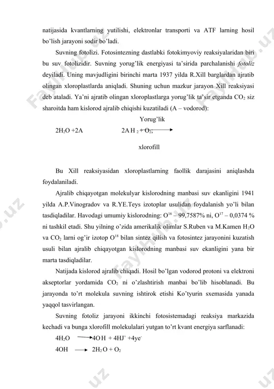 oroplast bu jarayon mitoxondriyalarda kechadigan oksidativ fosforlanishdan farq qiladi. yorug’likda bo’ladigan fosforlanishni 1954 yilda d.i.arnon va uning shog’irdlari kashf etdilar. yashil o’simliklarda fotosintetik fosforlanishning mavjudligi juda katta ahamiyatga ega. chunki hosil bo’ladigan atf molekulalari hujayradagi eng erkin kimyoviy energiya manbasidir. har bir atf molekulasida ikkita makroergik bog’ mavjud. ularning har birida 8 – 10 kkal energiya bor. makroergik bog’larning o’zilishi natijasida ajralgan kimyoviy energiya hujayradagi reaksiyalarda sarflanadi. xloroplastlardagi yorug’likda fosforlanish reaksiyalari ikki asosiy tipga bo’linadi: 1) siklik fotosintetik fosforlanish 2) siklsiz fotosintetik fosforlanish. 19-rasm. siklik fotosintetik fosforlanish birinchisida xlorofill molekulasi yutgan va samarali hisoblangan barcha yorug’lik energiyasi atf sintezlanishi uchun sarflanadi. reaksiya tenglamasini quyidagicha ko’rsatish mumkin: yorug’lik 2adf +2h3po4 2atf xloroplast quyoshning yorug’lik energiyasini yutgan xlorofill ko’zg’algan holatga o’tadi va uning molekulasi elektronlar donori sifatida yuqori energetik potensialga ega bo’lgan tashqi qavatdagi elektronlardan bittasini chiqarib yuboradi. elektronning chiqarib yuborilishi natijasida xlorofill molekulasi musbat zaryadlanib qoladi. qisqa muddat ichida (10-8 – …