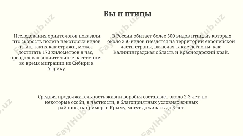 ты птицы - Page 5
