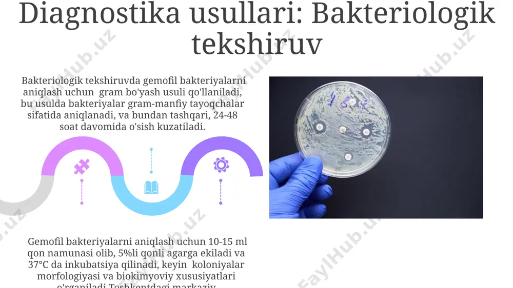 oldini olishda, 5 yoshgacha bo'lgan bolalarga hib vaktsinasi, jahon sog'liqni saqlash tashkilotining tavsiyalariga muvofiq, aqsh va yevropa mamlakatlarida keng qo'llaniladi. e'tiboringiz uchun rahmat @taqdimot_robot image4.jpg image5.jpg image6.jpg image7.jpg image8.jpg image9.jpg image10.jpg image11.jpg image12.jpg image13.jpg image14.jpg image15.jpg image16.jpg image17.jpg image18.jpg image19.jpg image20.jpg image1.jpeg image2.jpeg image3.jpeg