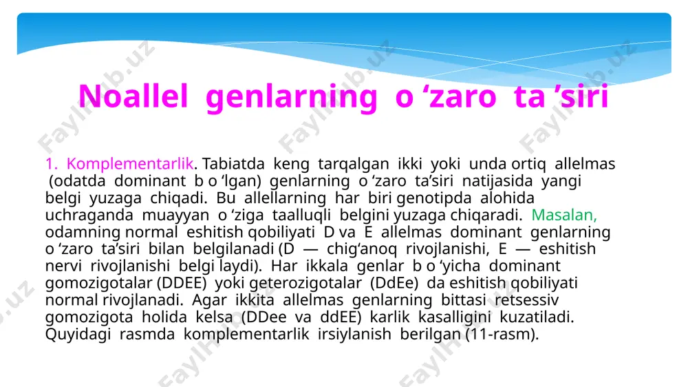 ta ’sirida avval bitta belgi, keyin ketma-ket ravishda bir qancha belgilar yuzaga chiqadi. masalan, odamda kamqonlikning bir turida gemoglobin buzilishi natijasida eritrotsitlar shakli o ‘zgaradi, ularning yopishqoqligi ortadi, kamqonlik rivojlanadi, buyrakda, yurakda, miyada o ‘zgarishlar kuzatiladi. quyida birlamchi va ikkilamchi pleotropiya jadvali keltirilgan (6-jadval). sitoplazmatik irsiyat. yadrodan tashqari, xromosomaga bog‘liqmas o‘zgaruvchanlik deb ham ataladi. irsiyatning bu shakli o‘z-o ‘zidan ko‘payuvchi sitoplazma organoidlariga bog‘liq. m a’lumki mitoxondriyalar, plastidalar o ‘z dnksiga ega. sitoplazmatik irsiyat shu organoidlarga bog‘liq, lekin yadro dnksi nazoratida yuzaga chiqadi. masalan, o ‘simliklarda olachiporlik belgisi ona avlodi orqali irsiyatlanadi. bunday o ‘simliklarda plastidalarning ayrimlari xlorofil pigmentini hosil qilmaydi. hujayralar b o ‘linishi jarayonida plastidalar notekis taqsimlanadi, natijada birlarda mozaik ravishda oq dog‘lar paydo b o ‘ladi. agar tuxum hujayrada anomal plastidalar b o ‘lsa, ulardan rivojlanuvchi o‘simliklarda olachiporlik belgisi kuzatiladi. zamburug‘ hujayralari mitoxondriyalarida nafas fermentlari genlari va antibiotiklarga chidamlilik genlari aniqlangan. bakteriyalarda halqasimon d n k molekulalari — …