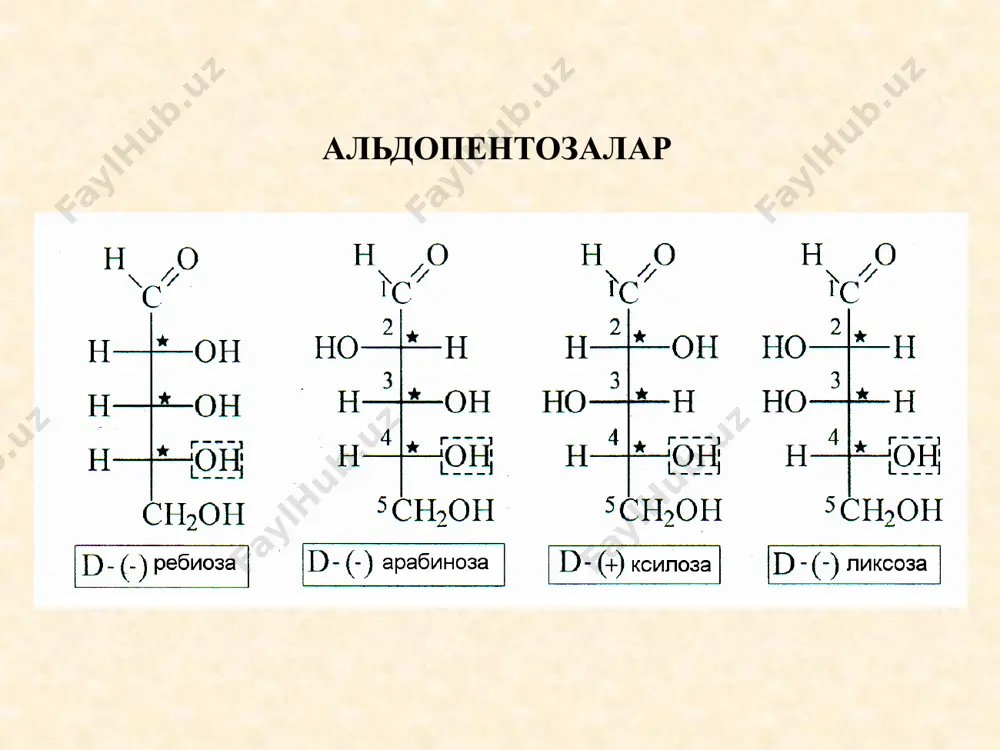 карбонсувлар. фотосинтез жараёни моносахаридларнинг таснифи - Page 5
