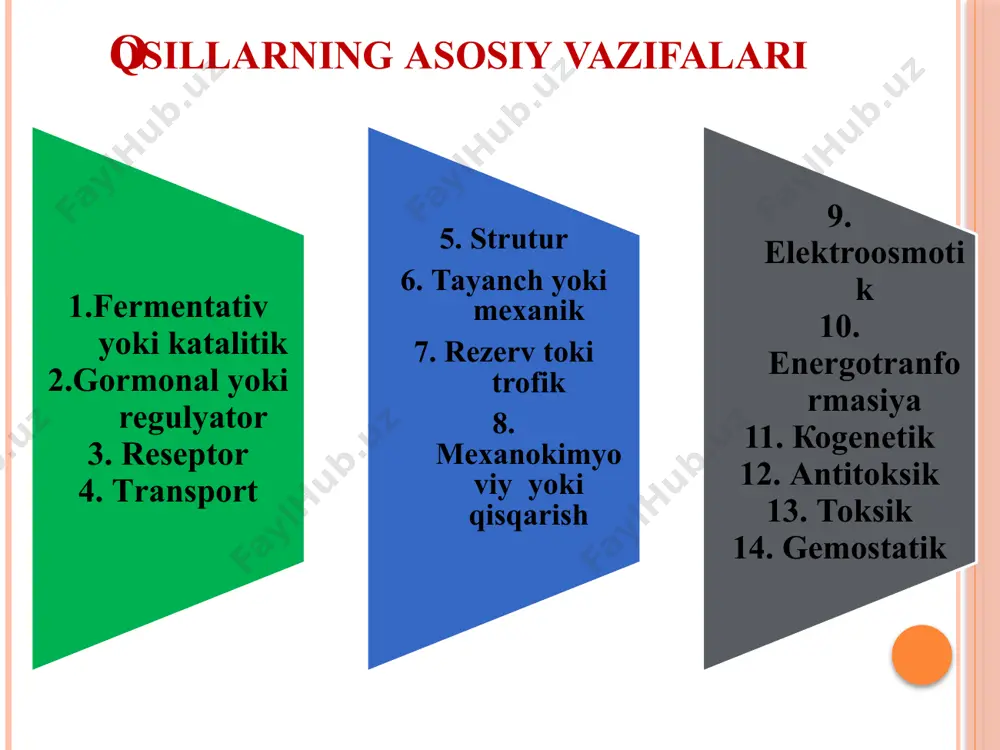 `zgarib turishi (doimiy – konstituiv va indusibel) yashash davri (qisqa va uzoq muddatli) оrganizmda tarqalishi (qon, limfa, yurak) оқсилларнинг 4 хил қурилиш даражалари тафовут этилади: бирламчи структура аминокислоталар кетма-кетлиги α-спираль полипептид занжирни қайта спиралланиши суббирликлар биологик комплекси иккиламчи структура учламчи структура тўртламчи структура оқсил тузилиши n-учи c-учи пептид боғ оқсил молекуласи полипептид занжирида аминокислоталарнинг маълум тартибда кетма-кет жойлашишига оқсилларнинг бирламчи тузилиши деб айтилади. оқсиллар бирламчи тузилишининг асосида пептид боғи ётади. оqsilning birlamchi tuzilishi (shar sterjenli modeli) uglerod vodorod kislorod аzot оqsilning birlamchi tuzilishi deb, tarkibidagi -аminokislotalarning ketma-ketligiga aytiladi оqsilning birlamchi tuzilishini aniqlash с c6h5- n n- h c ch s r о s r1 o r2 o c6h5 nh – c – nh – ch – c – nh – ch – c - …… рн=9 r1 o h r2 o c6h5 – n = c = s + h2n – ch – c – n – ch – c …