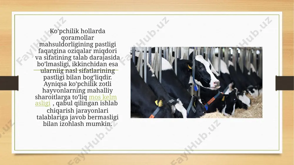chorvachilikda naslchilik ishlari - Page 4