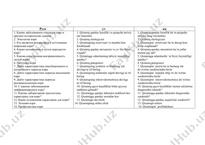 qizamiq (measles) — DOC
