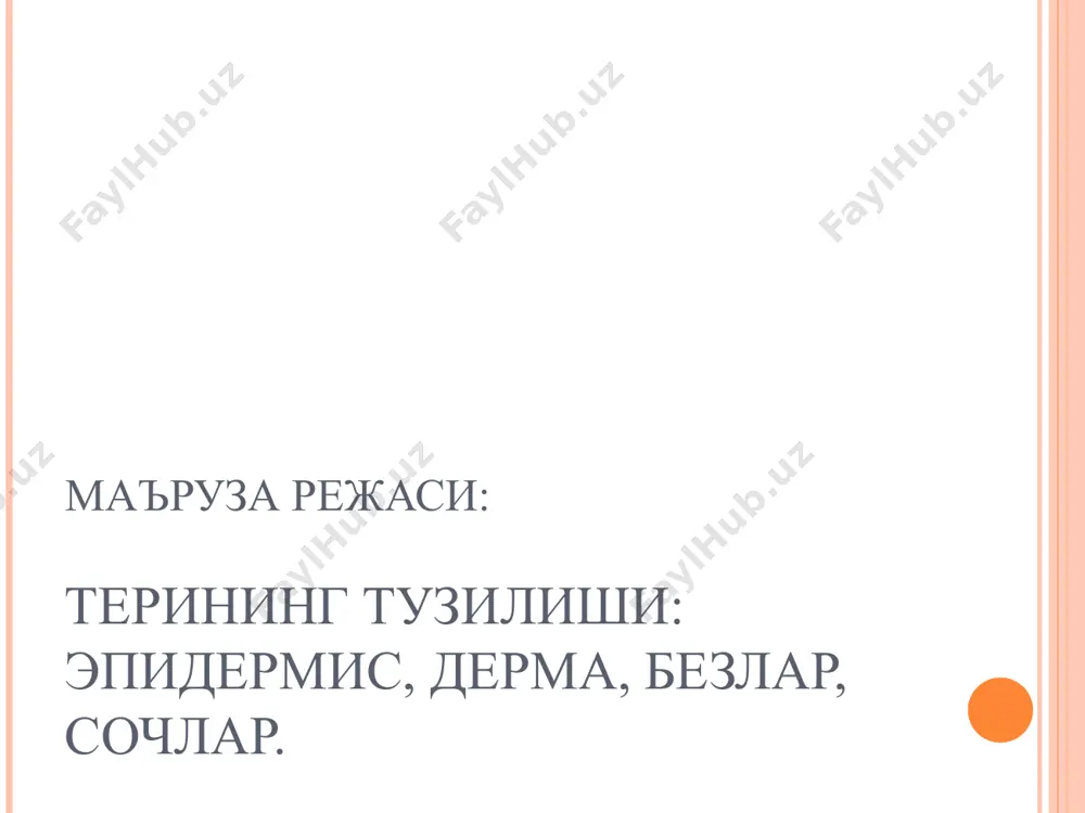 инг териси. гем.-эозин. i – эпидермис, ii – дерма, iii – тери ости ёғ клетчаткаси. 1 – тер безларининг чиқарув йўли, 2 – тер безининг охирги бўлими, 3 – ёғ бези, 4 – сочни кўтарувчи мушак, 5 – соч илдизи, 6 – ички эпителиал қин, 7 – ташқи эпителиал қин, 8 – соч халтачаси, 9 – соч пиёзчаси, 10 – соч сўрғичи, 11 – соч ўқи, 12 – соч колбаси. сочнинг кўндаланг кесмаси. гем.-эозин. 1 – сочнинг ёғ безлари соҳасидан олинган кесмаси: а – кутикула, б – пўстлоқ модда, в – мағиз модда, г – ички эпителиал қин, д – ташқи эпителиал қин, е – соч халтачаси, 2 – соч илдизининг пастки қисмидан олинган кесма, 3 – ёғ бези, 4 – тер безининг охирги бўлими.