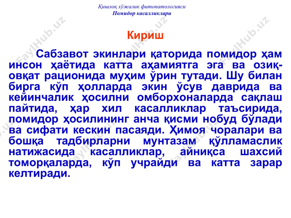. бу микроорганизмларнинг айрим белгилари 1-4 расмларда кўрсатилган. қишлоқ хўжалик фитопатологияси помидор касалликлари 1 расм. thielaviopsis basicola замбуруғининг гиалин фиалидалари (а), уларнинг ичида ҳосил бўладиган юпқа қобиқли гиалин фиало (эндо) конидиялари (а, в) ва тўқ тусли алевроконидиялари (=артроспоралари) (с) (микросуратлар). қишлоқ хўжалик фитопатологияси помидор касалликлари 2 расм. fusarium solani замбуруғининг конидиофоралари ва макроконидиялари (микросурат). қишлоқ хўжалик фитопатологияси помидор касалликлари 3 расм. rhizoctonia solani замбуруғи билан зарарланган помидор ниҳоли поясининг пастки қисми чириши (ниҳол вазонда ўстирилган). қишлоқ хўжалик фитопатологияси помидор касалликлари 4 расм. ўсимлик ниҳоллари чиришини қўзғатувчи pythium debaryanum замбуруғининг ривожланиш цикли. қишлоқ хўжалик фитопатологияси помидор касалликлари ниҳол касалликлари экилган уруғ ва унаётган майсалар тупроқ остидаёқ чириб кетиши мумкин. тупроқ юзасига чиққан ниҳолларнинг илдиз бўғзи ингичкалашиб қўнғир, сўнгра қора тус олади (“қора оёқ” касаллиги), ниҳоллар бужмайиб, нобуд бўлади. қўзғатувчи зарарланган ниҳол атрофидаги ўсимликларга ҳам ўтади ва касалликнинг ўчоқлари пайдо бўлади. бу ҳолат айниқса иссиқхоналарда тез-тез учрайди. кечроқ зарарланган ниҳоллар ҳалок бўлмайди, …