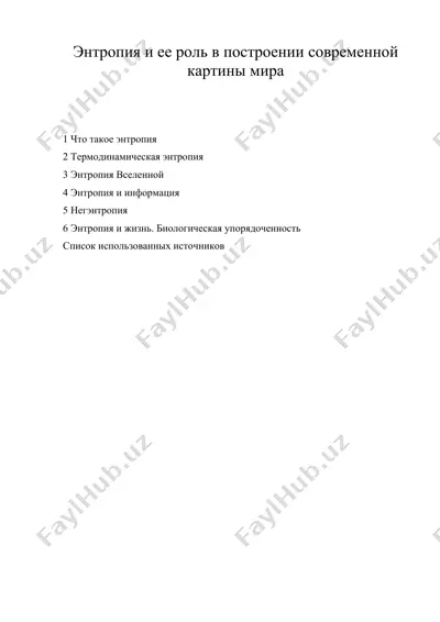 энтропия и ее роль в построении современной картины мира — DOC