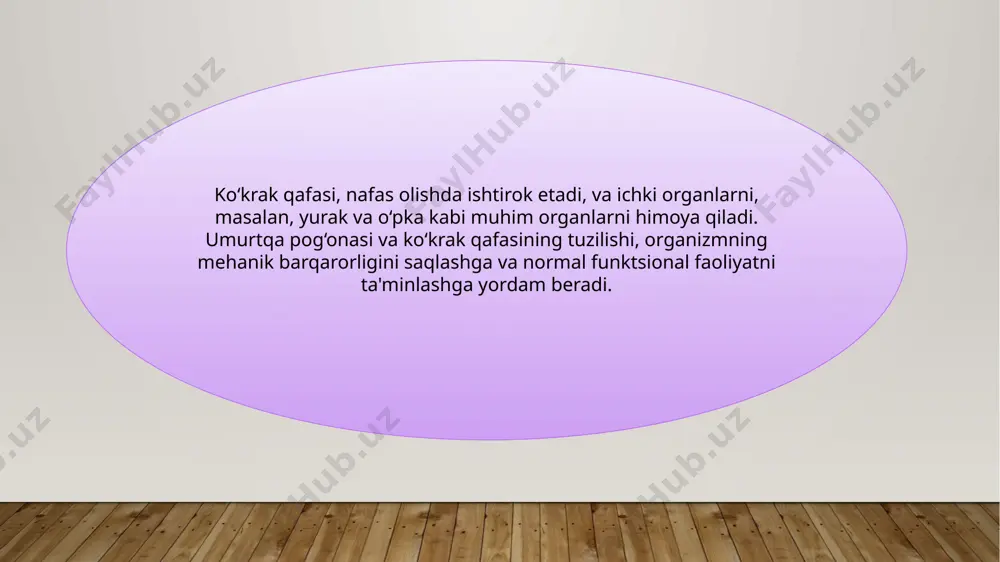 tanayuzalar va o‘qlar - Page 5