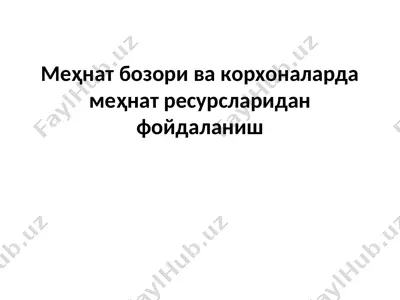 mehnat bozori va korxonalar — PPT