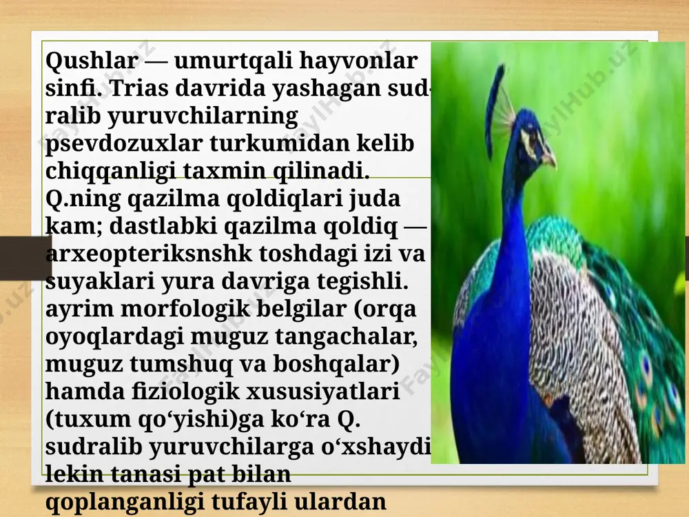 sonini sanashadi. olimlar ayrim qushlarni tutib, ularning oyoqlariga rangli halqalar va bayroqchalarni mahkamlab qoyishadi. olimlar qushlarning uchib ketish yo‘llarini aniqlashda belgi qoyilgan qushlarni kuzatish bilan birga kongillilar hisobga olgan qushlar sonidan ham foydalanishadi. 1.savol “qushlar migratsiyasi” matnini oqing. savolga javob berish uchun tegishli javob variantini tanlang. uchib ketuvchi qushlarning aksariyati bitta joyga to‘planishadi, ular yakka holda emas, balki katta gala hosil qilib, so‘ngra uchib ketishadi. bunday xatti-harakatlar evolutsiya nati- jasidir. quyida keltirilganlarning qaysi biri aksariyat uchib ketuvchi qushlarning bunday xatti-harakat evolutsiya natijasi ekaniga eng yaxshi ilmiy izohdir? a yakka holda yoki kichik gala hosil qilib uchib ketgan qushlarda tirik qolish va nasl qoldirish uchun imkoniyat kam bo‘lgan b yakka holda yoki kichik gala hosil qilib uchib ketgan qushlarda kerakli oziqni to- pish uchun imkoniyat ko‘proq bo‘lgan c katta gala hosil qilib uchish boshqa turdagi qushlarning migratsiyaga qo‘shilishiga imkon bergan d katta gala hosil qilib uchish har bir qush uya qurishga …