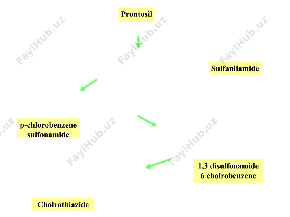r < 50 80 160 renal insufficiency clcr < 20 200 400 nephrotic syndrome 120 240 cirrhosis 40 80 congestive heart failure 40-80 80-160 powerpoint presentation from knauf & mutschler klin. wochenschr. 1991 69:239-250 70% 20% 5% 4.5% 0.5% volume 1.5 l/day urine na 100 meq/l na excretion 155 meq/day 100% gfr 180 l/day plasma na 145 meq/l filtered load 26,100 meq/day ca inhibitors proximal tubule loop diuretics loop of henle thiazides distal tubule antikaliuretics collecting duct thick ascending limb principles important for understanding effects of diuretics interference with na+ reabsorption at one nephron site interferes with other renal functions linked to it it also leads to increased na+ reabsorption at other sites increased flow and na+ delivery to distal nephron stimulates k + (and h +) secretion diuretics act only if na+ reaches their site of action. the magnitude of the diuretic effect depends on the amount of na+ …