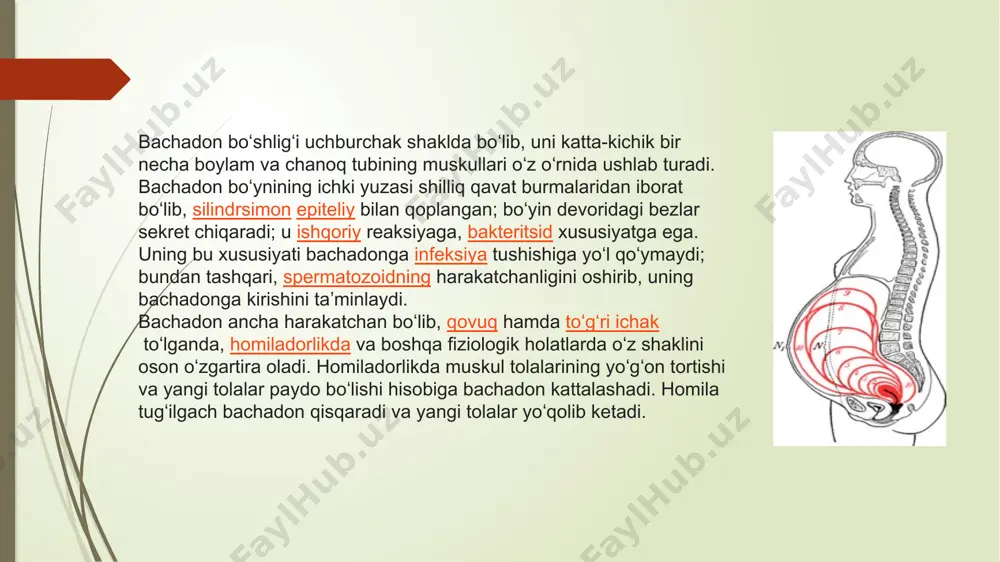 sosiy farqlar yoki oositlarga qaraganda spermani o'rganishning qulayligi bilan bog'liqmi, noma'lum. rivojlanish toksikligi rivojlanish toksikligi rivojlanayotgan organizmga kontseptsiyadan oldin (ota-onadan biri), tug'ruqdan oldingi rivojlanish davrida yoki tug'ruqdan keyingi jinsiy etuklik davriga ta'sir qilish natijasida yuzaga kelishi mumkin bo'lgan salbiy ta'sirlarning paydo bo'lishi sifatida ta'riflangan. rivojlanishning salbiy ta'siri organizm hayotining istalgan nuqtasida aniqlanishi mumkin. rivojlanish toksikligining asosiy ko'rinishlariga quyidagilar kiradi: rivojlanayotgan organizmning o'limi strukturaviy anormallik o'zgargan o'sish funktsional etishmovchilik. keyingi muhokamada, rivojlanish toksikligi g'ayritabiiy rivojlanishga olib keladigan ona, ota yoki kontseptsiyaga ta'sir qilish uchun hamma narsani qamrab oluvchi atama sifatida ishlatiladi. atama teratogenez strukturaviy nuqsonni keltirib chiqaradigan kontseptsiyaga ta'sir qilish uchun aniqroq murojaat qilish uchun foydalaniladi. bizning muhokamamiz postnatal ta'sirlarning rivojlanishga ta'sirini o'z ichiga olmaydi. bachadon naychasining mikroskop ostidagi kesmasi image1.jpeg image2.gif image3.png image4.jpeg /docprops/thumbnail.jpeg