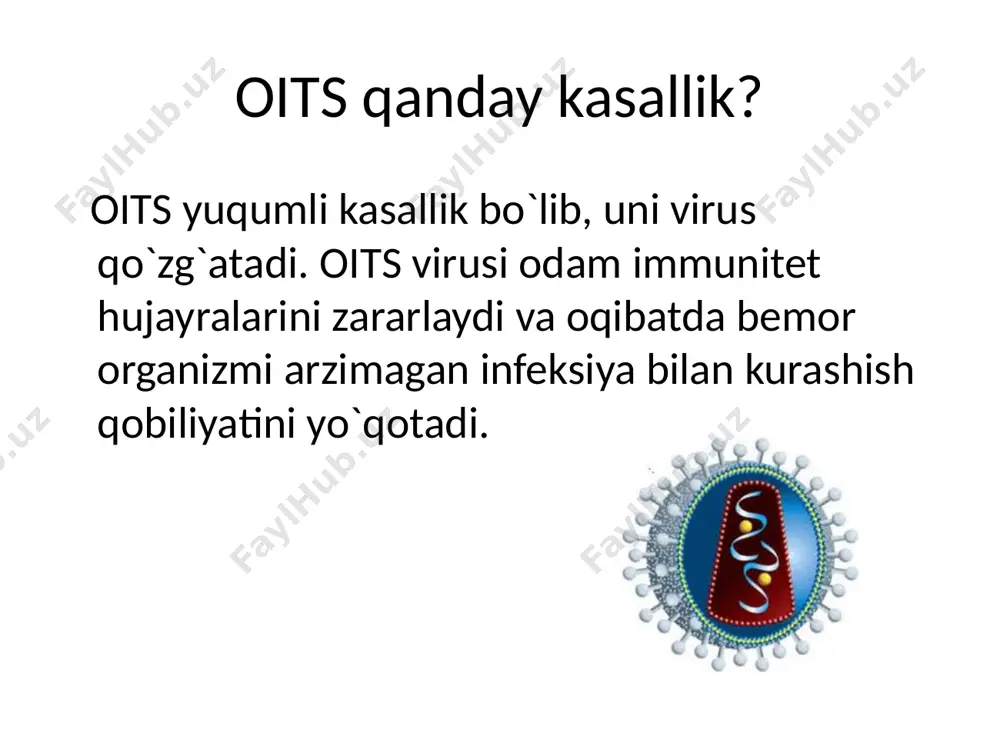 ) yo’l. yaxshi sterillanmagan o’tkir tig’li asboblar orqali umumiy shpritslar va ignalar ishlatish orqali. vertikal yo’l. jinsiy yo’l har qanday himoyalanmagan oitsli va oitv – infeksiyali bemor bilan jinsiy aloqada bo’lish oitv – infeksiyasi yuqishining katta xavfini tug’diradi. infeksiyaning yuqishi organizmdagi suyuqliklar kontakti orqali yuz beradi, bunda yetarli miqdordagi viruslar shilliq qavatdagi mayda jarohatlar va yoriqlar orqali sog’lom odamga o’tadi. himoyalanmagan (prezervativsiz) har bir aloqa oitvning infeksiya yuqmagan sherigiga yuqish xavfini oshiradi. parenteral (qon orqali) yo’l bu infeksiyali qonning sog’ odam organizmiga bevosita qon oqimi orqali tushishi, oits bilan kasallangan odamning to’qima va a’zolari boshqa odamga o’tkazilishi, kasal odam oraganizmidagi suyuqliklar (qusuq massalari, qon izlari bo’lgan so’lak) bilan kontaktda bo’lish, ya’ni, teri qoplami va shilliq qavatida jarohatlanish bo’lishi tufayli yuzaga keladi. vertikal yo’l bu yo’l - oitv infeksiyaning onadan bolaga o’tishi. zararlangan ona bolasiga virusni yuqtirishi mumkin bo’lgan 3 davr mavjud: perinatal (homiladorlik yoki tug’ishga qadar), tug’ish (tug’ilishda), va tug’ishdan …