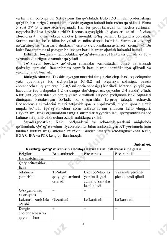 7º s termostatda saqlanadi. har bir probirkalardan bir nechta surtmalar tayyorlaniladi va havoda quritilib kornua suyuqligida (6 qism etil spirti + 3 qism xloroform + 1 qism uksus kislotasi), suyuqlik to‘liq parlanib ketguncha qotiriladi. surtma metilen ko‘ki bilan bo‘yaladi va mikroskopda ko‘riladi. surtmada kuydirgi qo‘zg‘atuvchisi “marvarid shodasini” eslatib sferoplastlarga aylanadi (sxema 14). bu holat bac.anthracis ni patogen bo‘lmagan batsillalardan ajratish imkonini beradi. uchinchi bosqich – termostatdan qo‘zg‘atuvchini sof kulturasi olinadi va 12 –sxemada keltirilgan sinamalar qo‘yiladi. to‘rtinchi bosqich- qo‘yilgan sinamalar termostatdan olinib natijalanadi (jadvalga qaralsin). bac.anthracis saprofit batsillalarda identifikatsiya qilinadi va yakuniy javob beriladi. biologik sinama. tekshirilayotgan material dengiz cho‘chqachasi, oq sichqonlar yoki quyonlarga (oq sichqonlarga 0.1-0.2 ml orqamiya sohasiga; dengiz cho‘chqachasi, quyonlarga 0,2-0,5 ml qorin sohasiga) kiritiladi. material yuqtirilgan hayvonlar (oq sichqonlar 1-2 va dengiz cho‘chqachasi, quyonlar 2-4 kunda) o‘ladi. kiritilgan joyida shish va qon quyilish kuzatiladi. hayvon yorilganda ichki organlari dimiqqan, kattalashgan bo‘ladi, bu o‘zgarishlar ko‘proq taloqda uchraydi. …