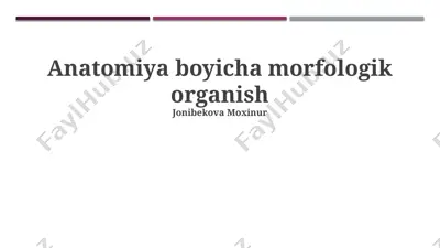 anatomiya boyicha morfologik organish — PPTX