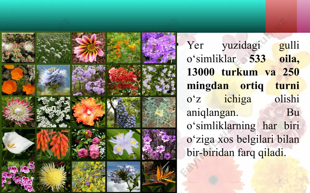 gulli o‘simliklar bilan umumiy tanishish. 5 - sinf - Page 3