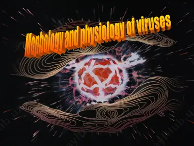 morphology and physiology of viruses — PPT