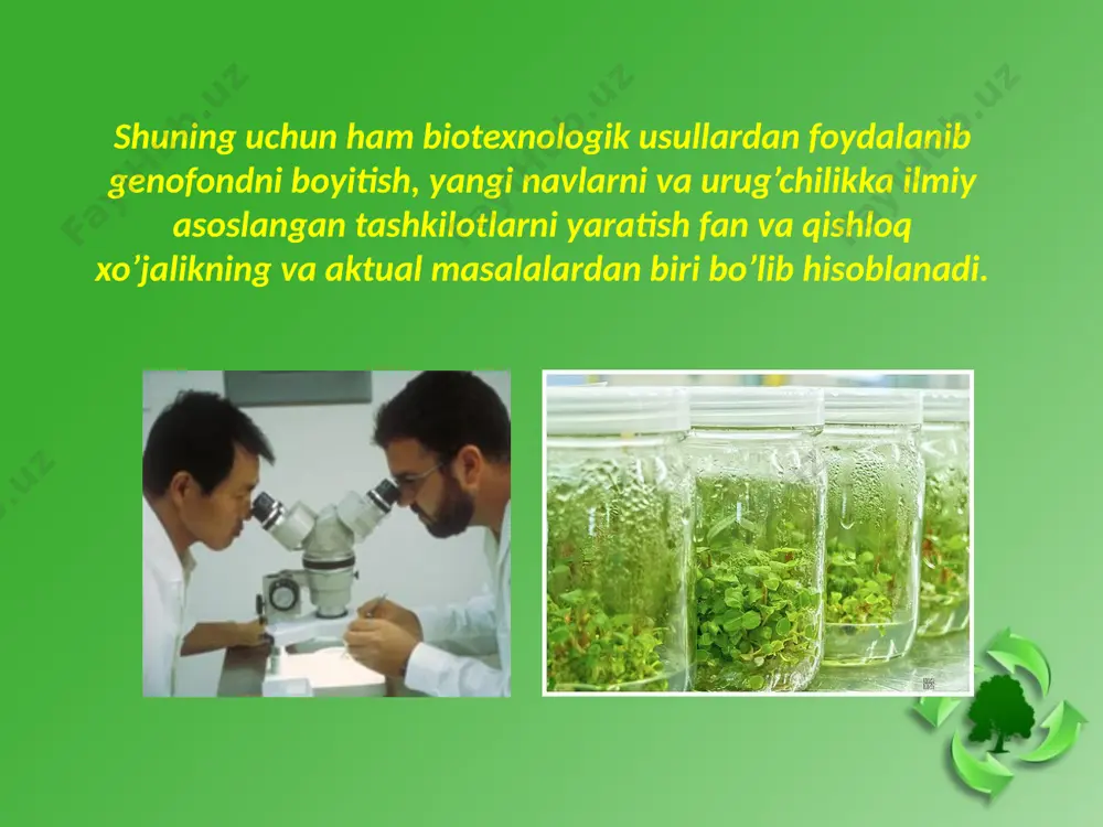 biotexnologik usullarning kartoshka seleksiyasidagi ahamiyati - Page 4