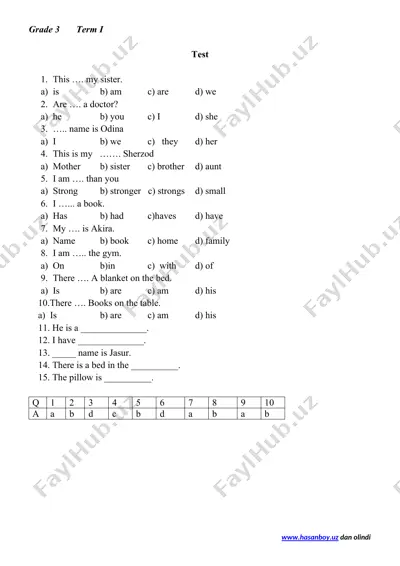english grammar test — DOCX