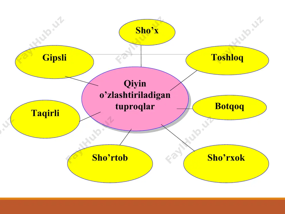 g sho’rlanishi ikki ko’rinishda bo’ladi dastlabki sho’rlanish — tabiiy sharoitda sho’rlangan yer osti suvlarining umumiy bug’lanishga sarflanishi, shamol, biologik jarayonlar yoki vulkanlar otilishi natijasida tuproqda va hosil qiluvchi ma’danlar tarkibida tuz hosil bo’ladi yoki yig’iladi. qayta sho’rlanish – tuproqning suv rejimi sun’iy sug’orish natijasida o’zgarishi sababli hosil bo’ladi. tuproqqa organik va tabiiy kimyoviy birikmalar solish zovurlar qazish qiyin o’zlashtiriladigan yerlarda sho’r yuvish ishlarini amalga oshirish tuproqqa meliorativ ishlov berish tuproq chuqur yumshatilgandan so’ng dalaga go’ng (30 tonna/ga), lignin (40 tonna/ga) yoki maydalangan o’simlik qoldiqlari solinadi va haydaladi. bu moddalar tuproq tarkibidagi organik modda — gumus (go’ng, maydalangan o’simlik qoldiqlari) miqdorini ko’paytiradi, tuproq eritmasining muhitini yaxshilaydi, ildiz tarqalgan qatlamdagi zaharli tuzlarning eruvchanligini oshiradi va yuvilish jarayonini jadallashtiradi. sho’r yuvishdan oldin mavjud chuqur tik yoki yotiq zovurlarga qo’shimcha vaqtincha ishlaydigan chuqur bo’lmagan (80—100 sm chuqurlikda) zovurlar qaziladi sho’r yuvish vaqti, beriladigan suv me’yori tuproqning sho’rlanish darajasini, mexanik tarkibi va boshqa xossalarini nazarda …
