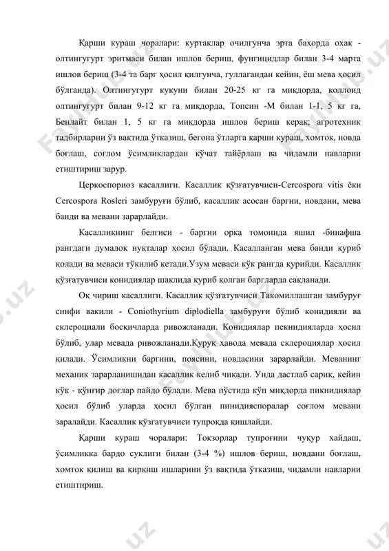 ан 1-1, 5 кг га, бенлайт билан 1, 5 кг га миқдорда ишлов бериш керак; агротехник тадбирларни ўз вақтида ўтказиш, бегона ўтларга қарши кураш, хомток, новда боғлаш, соғлом ўсимликлардан кўчат тайёрлаш ва чидамли навларни етиштириш зарур. церкоспориоз касаллиги. касаллик қўзғатувчиси-cercospora vitis ёки cercospora rosleri замбуруғи бўлиб, касаллик асосан баргни, новдани, мева банди ва мевани зарарлайди. касалликнинг белгиси - баргни орка томонида яшил -бинафша рангдаги думалоқ нуқталар ҳосил бўлади. касалланган мева банди қуриб қолади ва меваси тўкилиб кетади.узум меваси кўк рангда қурийди. касаллик қўзғатувчиси конидиялар шаклида қуриб қолган баргларда сақланади. оқ чириш касаллиги. касаллик қўзғатувчиси такомиллашган замбуруғ синфи вакили - coniothyrium diplodiella замбуруғи бўлиб конидияли ва склероциали босқичларда ривожланади. конидиялар пекнидияларда ҳосил бўлиб, улар мевада ривожланади.қуруқ ҳавода мевада склероциялар ҳосил қилади. ўсимликни баргини, поясини, новдасини зарарлайди. меванинг механик зарарланишидан касаллик келиб чиқади. унда дастлаб сариқ, кейин кўк - қўнғир доғлар пайдо бўлади. мева пўстида кўп миқдорда пикнидиялар ҳосил бўлиб уларда ҳосил …